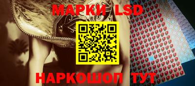 молекула духа Донской