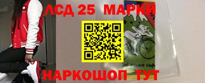 молекула духа Донской