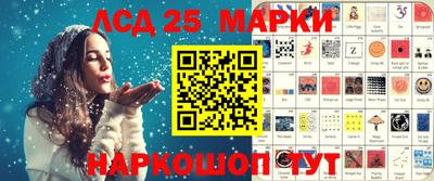 молекула духа Донской