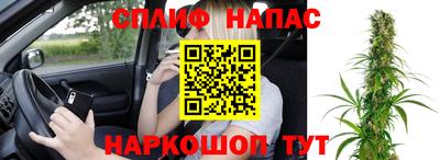 молекула духа Донской