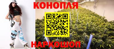 МДПВ Донецк