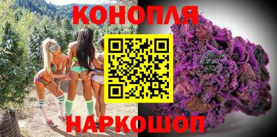 молекула духа Донской