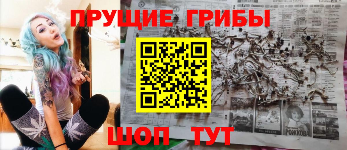 Псилоцибиновые грибы мицелий  Галлюциногенные грибы GOLDEN TEACHER  Вход с VPN  как найти закладки  Мирный 